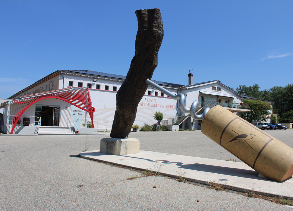 Cave de St Pantaléon les Vignes